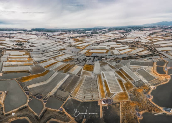 Đi Vũng Tàu nhiều nhưng không phải ai cũng biết cánh đồng đẹp đến say lòng này