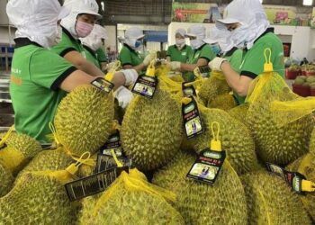 Điểm danh 8 nông sản Việt giá trị tỷ USD xuất khẩu nhiều nhất sang Mỹ