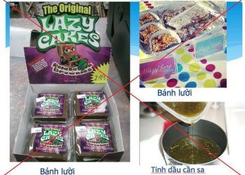 Điểm mặt các loại ma túy "núp bóng" thực phẩm, đồ uống, thuốc lá điện tử, thảo mộc…
