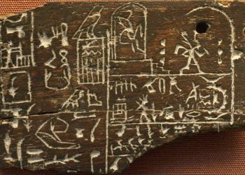 Gỗ đen châu Phi, một trong những loại gỗ đắt đỏ nhất trên thế giới