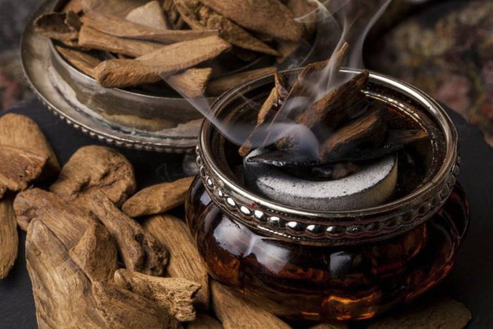 Gỗ đen châu Phi, một trong những loại gỗ đắt đỏ nhất trên thế giới Gỗ đen châu Phi, một trong những loại gỗ đắt đỏ nhất trên thế giới