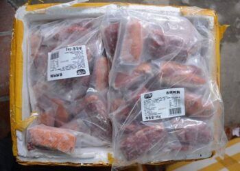 ha noi phat hien hon 1 tan uc vit canh ga dong lanh khong nguon goc Phát hiện hơn 1 tấn ức vịt, cánh gà đông lạnh không có nguồn gốc Hà Nội phát hiện hơn 1 tấn ức vịt, cánh gà đông lạnh không nguồn gốc