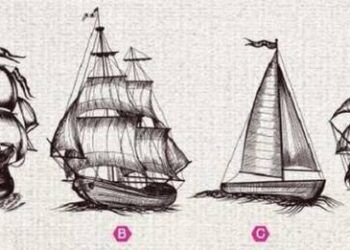 hay chon mot chiec thuyen ban se biet chi so met moi cua minh Chiếc thuyền nào phù hợp với chỉ số mệt mỏi của bạn? Hãy chọn một chiếc thuyền, bạn sẽ biết chỉ số mệt mỏi của mình