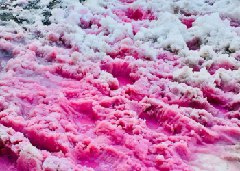 Hiện tượng tuyết hồng kỳ lạ trên các dãy núi: Đẹp mê man nhưng đồng thời là cảnh báo đỏ cho hành tinh chúng ta?