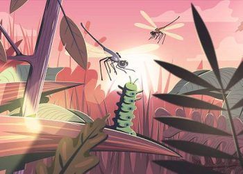 Không cần tiền vốn, ‘bậc cao thủ’ vẫn có thể tay trắng làm nên cơ đồ: 6 cách rót tiền vào túi ung dung đón Tết