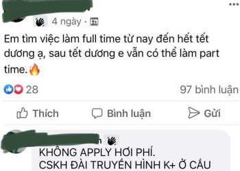 kiem tien tieu tet sinh vien tranh sap bay lam them Nhiều sinh viên sập bẫy làm thêm kiếm tiền tiêu Tết Kiếm tiền tiêu Tết, sinh viên tránh sập bẫy làm thêm