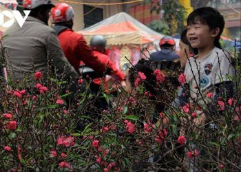 lich nghi tet cua hoc sinh cac dia phuong tren ca nuoc Công bố lịch nghỉ Tết của học sinh trên địa bàn cả nước Lịch nghỉ Tết của học sinh các địa phương trên cả nước