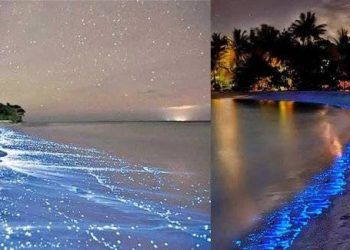 Loạt hiện tượng tự nhiên kỳ thú nhất thế giới, đẹp mê mẩn nhưng là dấu hiệu đáng báo động về biến đổi khí hậu