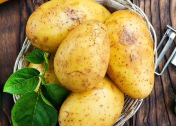 loi ich bat ngo khi an khoai tay voi cach che bien toi uu giu tron dinh duong Cách chế biến khoai tây giữ trọn dinh dưỡng tốt cho sức khỏe Lợi ích bất ngờ khi ăn khoai tây với cách chế biến tối ưu giữ trọn dinh dưỡng