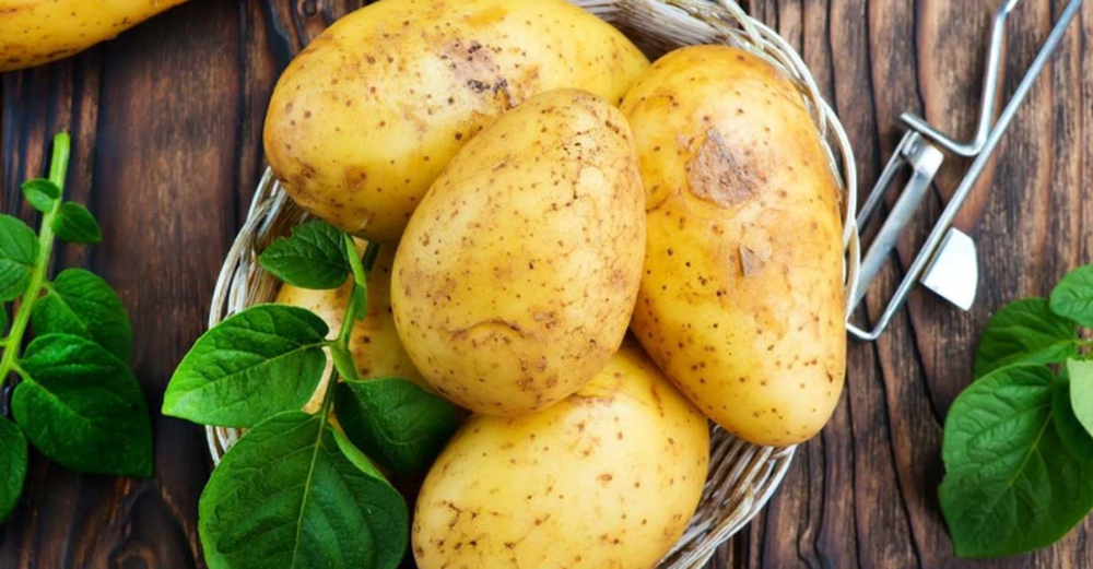 Lợi ích bất ngờ khi ăn khoai tây với cách chế biến tối ưu giữ trọn dinh dưỡng