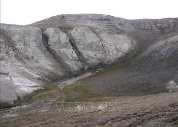 Mẫu ADN cổ xưa nhất hé lộ hệ sinh thái đặc biệt 2 triệu năm tuổi