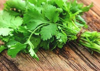 Những món ăn bạn không nên để vào tủ lạnh