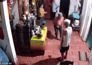 Phẫn nộ với clip hai bố con hợp sức đánh ông nội ngay trong nhà