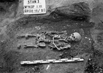 Phát hiện mới về hài cốt người đàn ông thời trung cổ được chôn cất ở Ba Lan