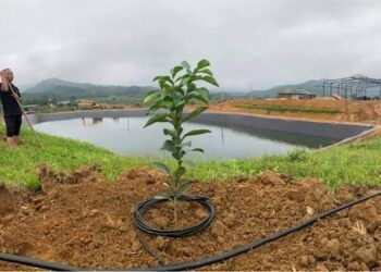 phat hien thi the nam cong nhan tu vong trong ho chua nuoc Hà Tĩnh: Phát hiện thi thể nam công nhân tử vong trong hồ chứa nước Phát hiện thi thể nam công nhân tử vong trong hồ chứa nước