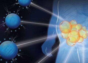 phuong phap dieu tri beo phi hieu qua Nghiên cứu phương pháp điều trị béo phì hiệu quả Phương pháp điều trị béo phì hiệu quả