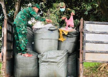 quang tri bat giu xe tai cho 25 tan noi tang dong vat boc mui hoi thoi Quảng Trị: Bắt giữ xe tải chở 2,5 tấn nội tạng động vật bốc mùi hôi thối đưa sang Lào tiêu thụ Quảng Trị: Bắt giữ xe tải chở 2,5 tấn nội tạng động vật bốc mùi hôi thối