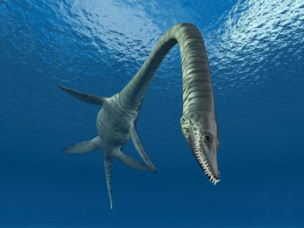 Siêu quái vật đầu rắn dài 10 m, 100 triệu tuổi hiện hình ở Úc