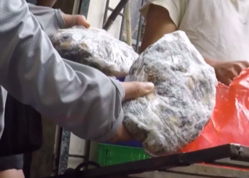 Sự thật rùng mình phía sau những bát bún ốc nóng hổi