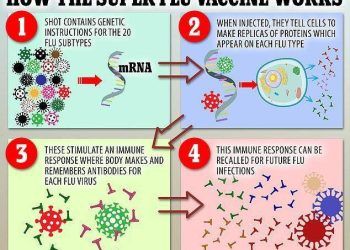 tao sieu vac xin ngua hon 20 loai cum Tiến hành thử nghiệm siêu vắc-xin ngừa hơn 20 loại cúm Tạo siêu vắc-xin ngừa hơn 20 loại cúm