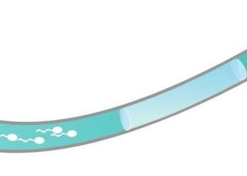 Thử nghiệm phương pháp tránh thai mới dành cho nam giới