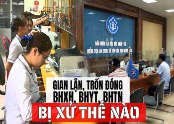 tron dong bhxh cho nguoi lao dong doanh nghiep se bi xu phat ra sao Người lao động cần làm gì khi công ty không đóng BHXH? Trốn đóng BHXH cho người lao động, doanh nghiệp sẽ bị xử phạt ra sao?