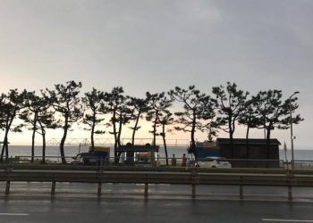 Vụ 100 du khách mất liên lạc ở Hàn Quốc: Đề nghị phạt và tước giấy phép 4 công ty lữ hành