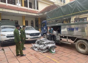 Xe chở nửa tấn hạt hướng dương ẩm mốc không rõ nguồn gốc