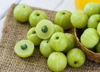 1 loai qua giau vitamin c gap 20 lan cam giup tang cuong collagen truoc la qua moc dai ai cu Quả me rừng có nhiều tác dụng tốt với sức khỏe nhưng ít người biết đến 1 loại quả giàu vitamin C gấp 20 lần cam giúp tăng cường collagen, trước là quả mọc dại ai cũng chê