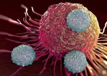 4 dau hieu o bung co the cam nhan nhin thay bang mat thuong dang canh bao v 4 dấu hiệu ở bụng cảnh báo sự phát triển của tế bào ung thư có thể nhìn bằng mắt thường 4 dấu hiệu ở bụng có thể cảm nhận, nhìn thấy bằng mắt thường đang cảnh báo về sự phát triển của tế bào ung thư