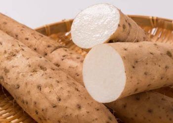 7 thuc pham hut mo giup giam can cuc tot ma ban khong nen bo qua dip sau tet Nên kiên trì ăn 7 loại thực phẩm này sau Tết để lấy lại vóc dáng đẹp hơn 7 thực phẩm "hút mỡ", giúp giảm cân cực tốt mà bạn không nên bỏ qua dịp sau Tết