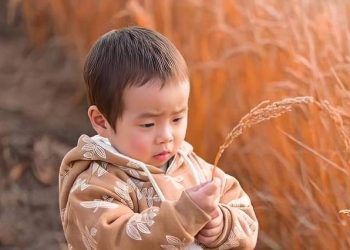 Albert Einstein từng nói: Có 1 kỹ năng càng rèn luyện sớm càng giúp trẻ thông minh vượt trội