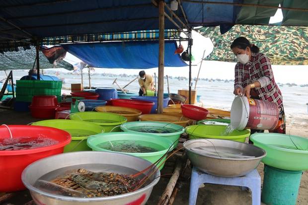 can dieu hai san o mui ne dia phuong de nghi thao do leu quan "Cân điêu" hải sản ở Mũi Né, địa phương đề nghị tháo dỡ lều quán