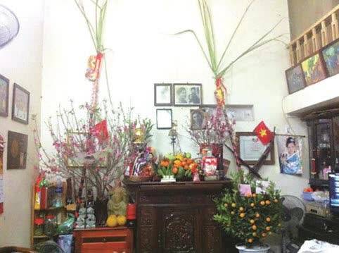 Cây mía trên ban thờ gia tiên ngày Tết và ý nghĩa trong phong tục thờ cúng của người Việt