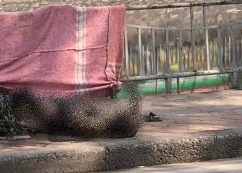 Danh tính người phụ nữ nghi trầm cảm tự thiêu ở Hoàng Mai