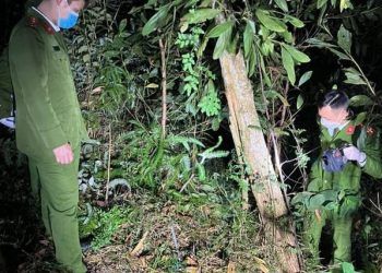 Hơn 100 cảnh sát xuyên đêm truy lùng nghi phạm giết người