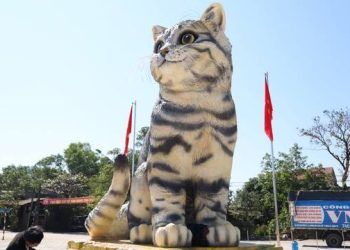 linh vat meo tet 2023 trinh lang vo so kieu tao hinh doc la Ngắm linh vật mèo Tết 2023: Vô số kiểu tạo hình độc, lạ Linh vật mèo Tết 2023 'trình làng' vô số kiểu tạo hình độc, lạ