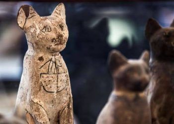 loai meo bieu tuong thieng lieng cua nguoi ai cap co dai Loài mèo - biểu tượng gắn kết với các vị thần trong lịch sử người Ai Cập cổ đại Loài mèo - biểu tượng thiêng liêng của người Ai Cập cổ đại