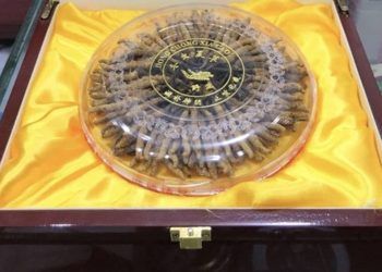 nhung thu choi dot tien ty ngay tet cua nha giau viet Những thú chơi Tết đốt tiền tỷ của các đại gia Việt Những thú chơi đốt tiền tỷ ngày Tết của nhà giàu Việt