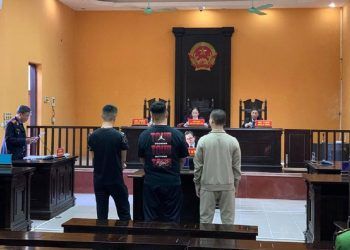 no phao mung sinh nhat ban 3 thanh nien chia nhau 16 thang tu Thanh Hóa: Nổ pháo mừng sinh nhật bạn, 3 thanh niên chia nhau 16 tháng tù Nổ pháo mừng sinh nhật bạn, 3 thanh niên chia nhau 16 tháng tù