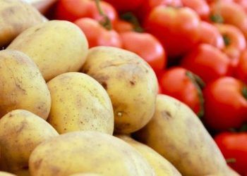 tim thay hop chat dieu tri ung thu trong khoai tay va ca chua Khoai tây và cà chua có thể sản xuất thuốc điều trị ung thư Tìm thấy hợp chất điều trị ung thư trong khoai tây và cà chua