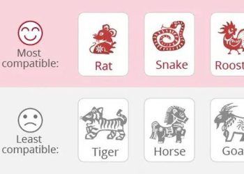 Tình duyên 12 con giáp trong năm Quý Mão 2023