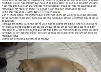 tu chuyen chiec macbook dinh cafe den con meo bi hanh ha tre con co biet gi dau d "Trẻ con có biết gì đâu": Đằng sau đứa trẻ vô ý thức là những phụ huynh vô trách nhiệm! Từ chuyện chiếc Macbook dính cafe đến con mèo bị hành hạ: "Trẻ con có biết gì đâu" - Đằng sau đứa trẻ vô ý thức là những phụ huynh vô trách nhiệm!