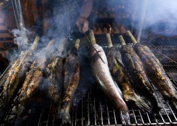 vi sao mam co cung than tai cua nguoi mien nam phai co ca loc nuong Vì sao mâm cỗ cúng thần Tài của người miền Nam phải có cá lóc nướng? Vì sao mâm cỗ cúng thần Tài của người miền Nam phải có cá lóc nướng?