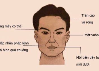 xem tuong mat nguoi dan ong biet ngay su nghiep va tinh duyen trong tuong lai 275496 3 Xem tướng mặt đàn ông biết ngay sự nghiệp và tình duyên trong tương lai Xem tướng mặt đàn ông biết ngay sự nghiệp và tình duyên trong tương lai