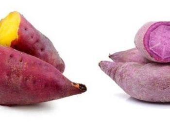 14 tac dung tuyet voi cua khoai lang 14 tác dụng tuyệt vời cho sức khỏe khi ăn khoai lang thường xuyên 14 tác dụng tuyệt vời của khoai lang