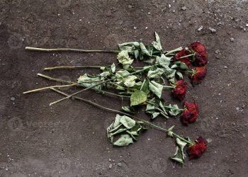 3 su that tran trui ve tinh yeu den noi khong ai dam nhac toi trong ngay valentine "Tình yêu" từng bị coi là một loại bệnh, khi "mắc phải" người ta sẵn sàng làm mọi việc vì nó 3 sự thật trần trụi về tình yêu, đến nỗi không ai dám nhắc tới trong ngày Valentine