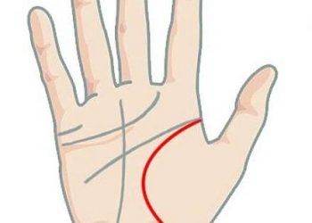 5 duong chi tay quan trong nhat ma ai cung nen biet de tu coi tuong cho chinh minh 5 đường chỉ tay quan trọng nhất mà ai cũng nên biết để tự coi tướng cho chính mình 5 đường chỉ tay quan trọng nhất mà ai cũng nên biết để tự coi tướng cho chính mình