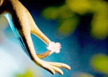 5 ‘món nợ’ này dù khó khăn tới đâu cũng không nên đụng tới kẻo ràng buộc cả cuộc đời: Món nợ thứ 4 không ít người vướng phải, cả đời mệt mỏi