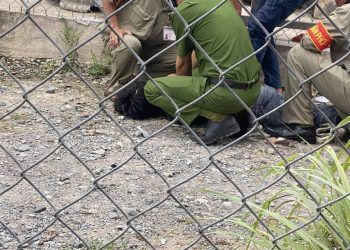 CLIP: Con trai ngáo đá sát hại mẹ ruột dã man ở Tây Ninh